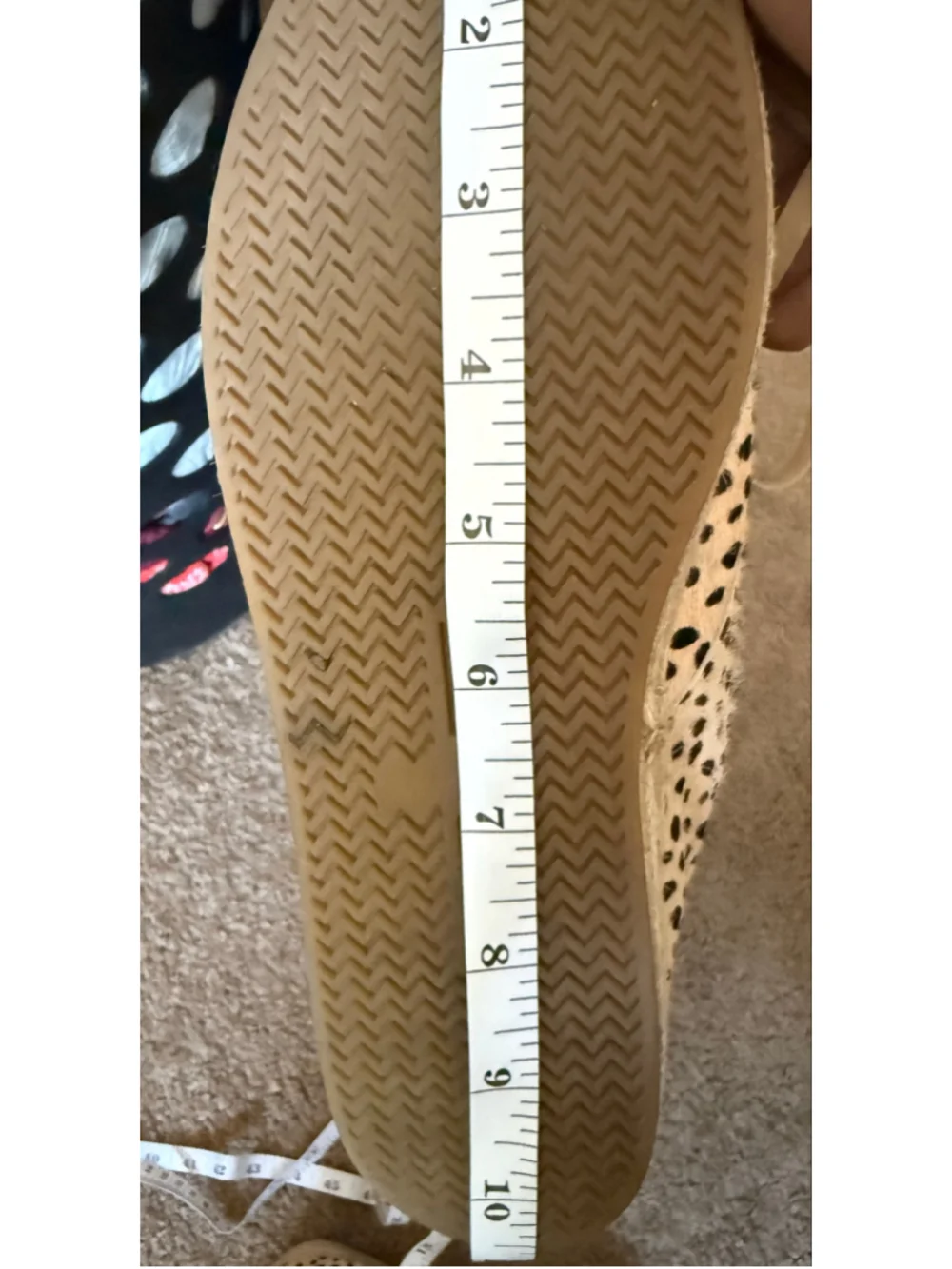 Women's Dolce Vita Leopard Print Espadrille Zip Sneakers
